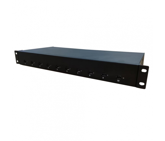 10 portar USB-C 65W 1U Rackmount laddningshubb