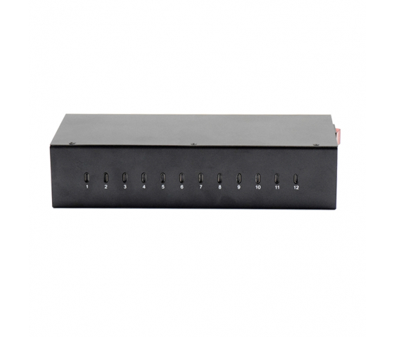 12 Ports USB-C 20W Lade-Hub