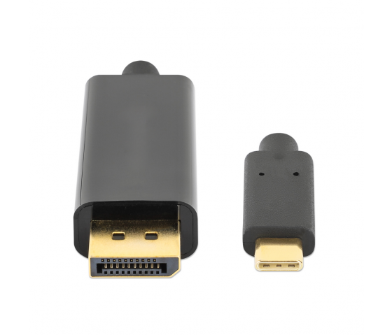Cavo adattatore da USB-C a DisplayPort - 2 metri - nero