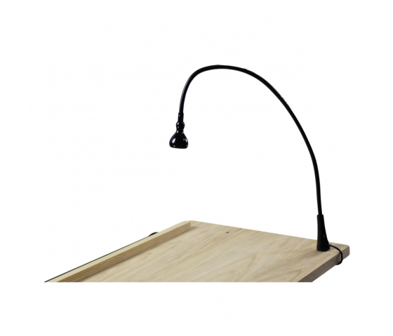 Alternatief paspoort omverwerping Click in halogeen lamp