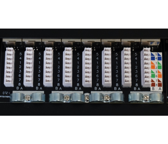 Cat6a protected patch panel 24 ports - 1U 19