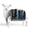 BücherReiseführer Bücherregal Lambkin