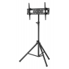 Universal portable tripod TV monitor stand - 37 to 70 inches