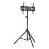 Universal portable tripod TV monitor stand - 37 to 70 inches